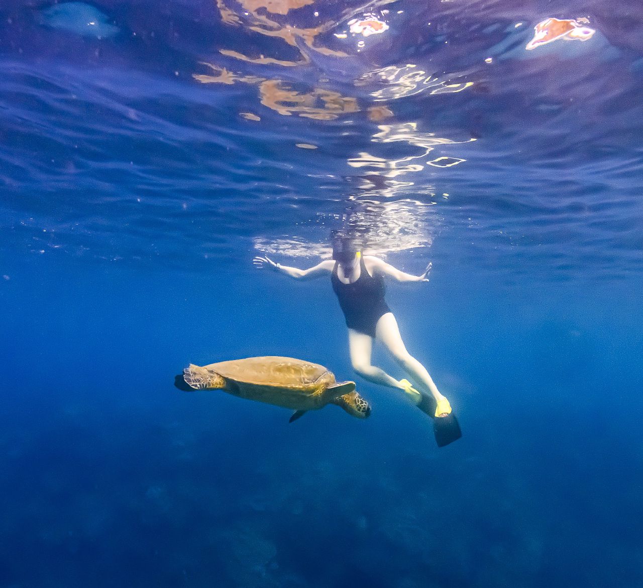 Photo of female with turtle