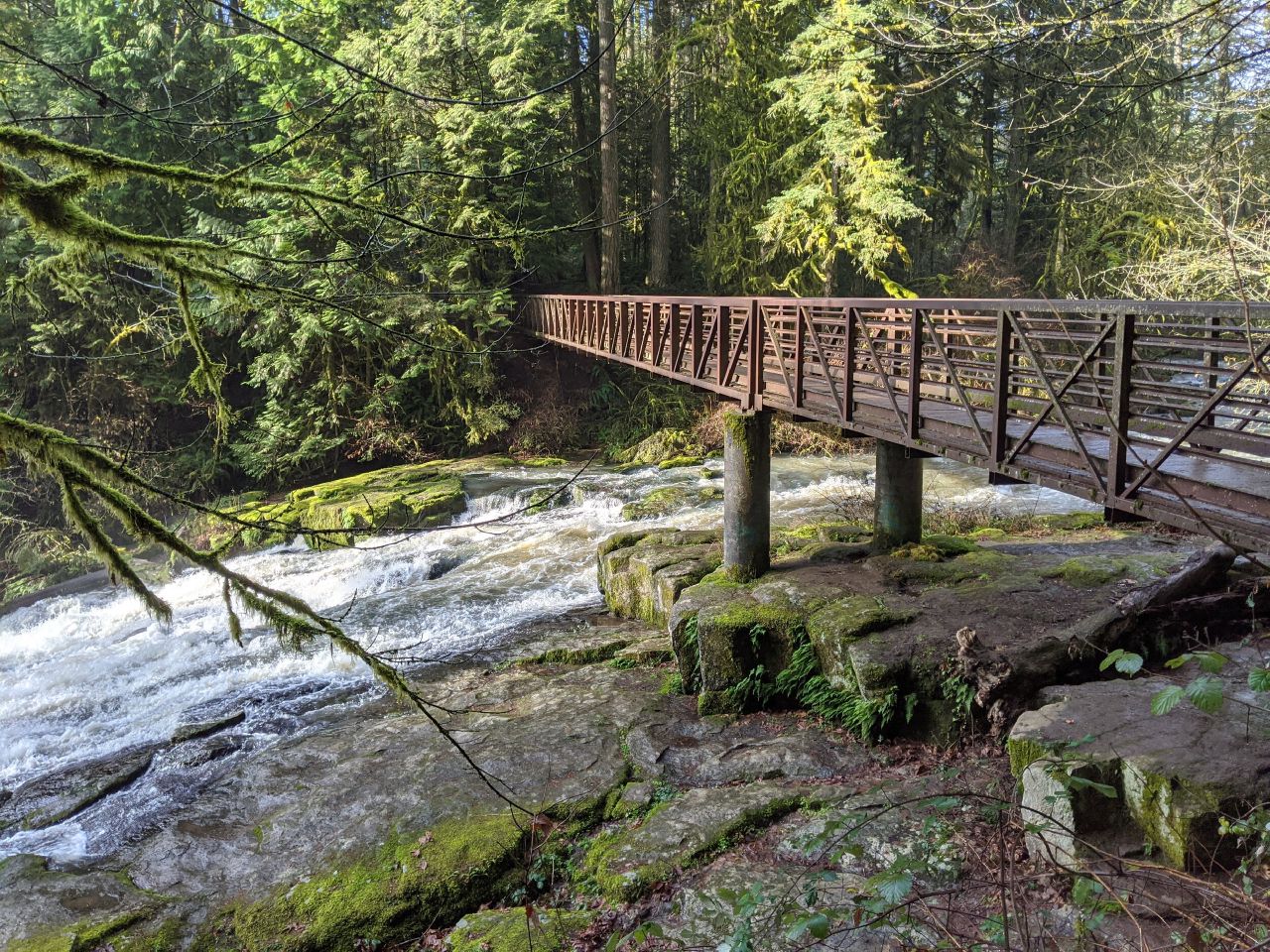 Creek Bridge at Lacamas Park
