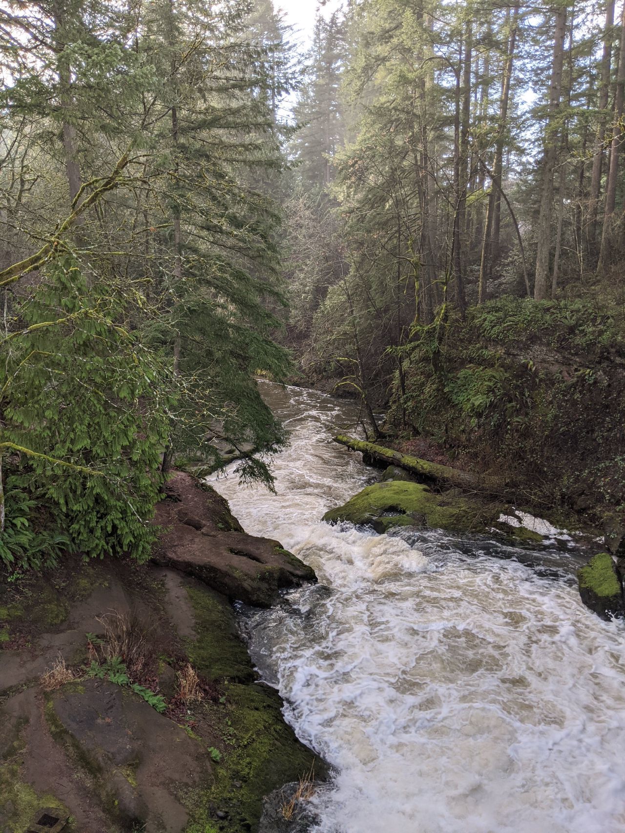 Lacamas Creek— Looking South from Round Lake Dam at Lacamas Park in Camas, Washington