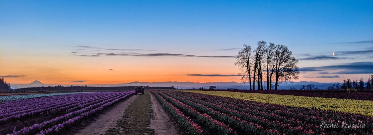 Washington Landscape Photographer