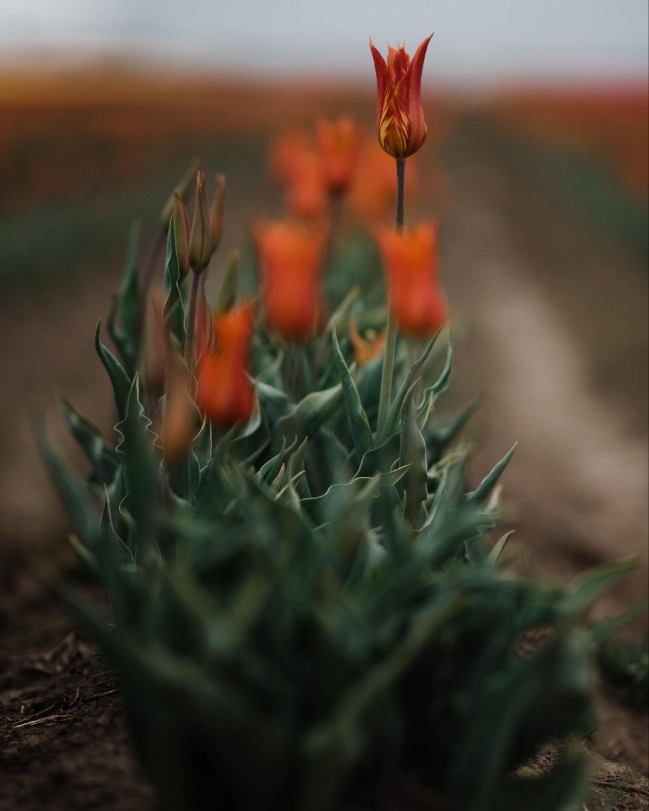 Washington State Photo